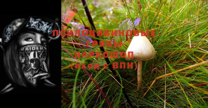 купить наркоту  Нижняя Тура  Галлюциногенные грибы Magic Shrooms 